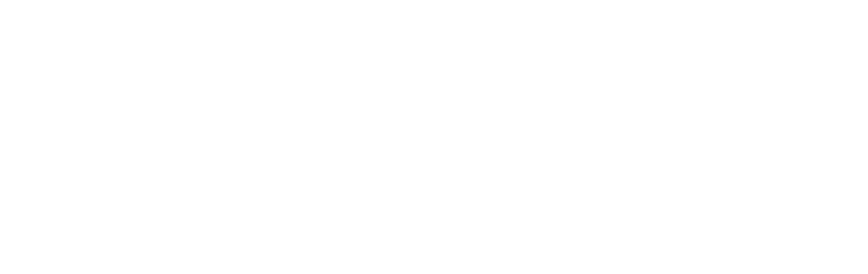 CS Transporte & Logistik